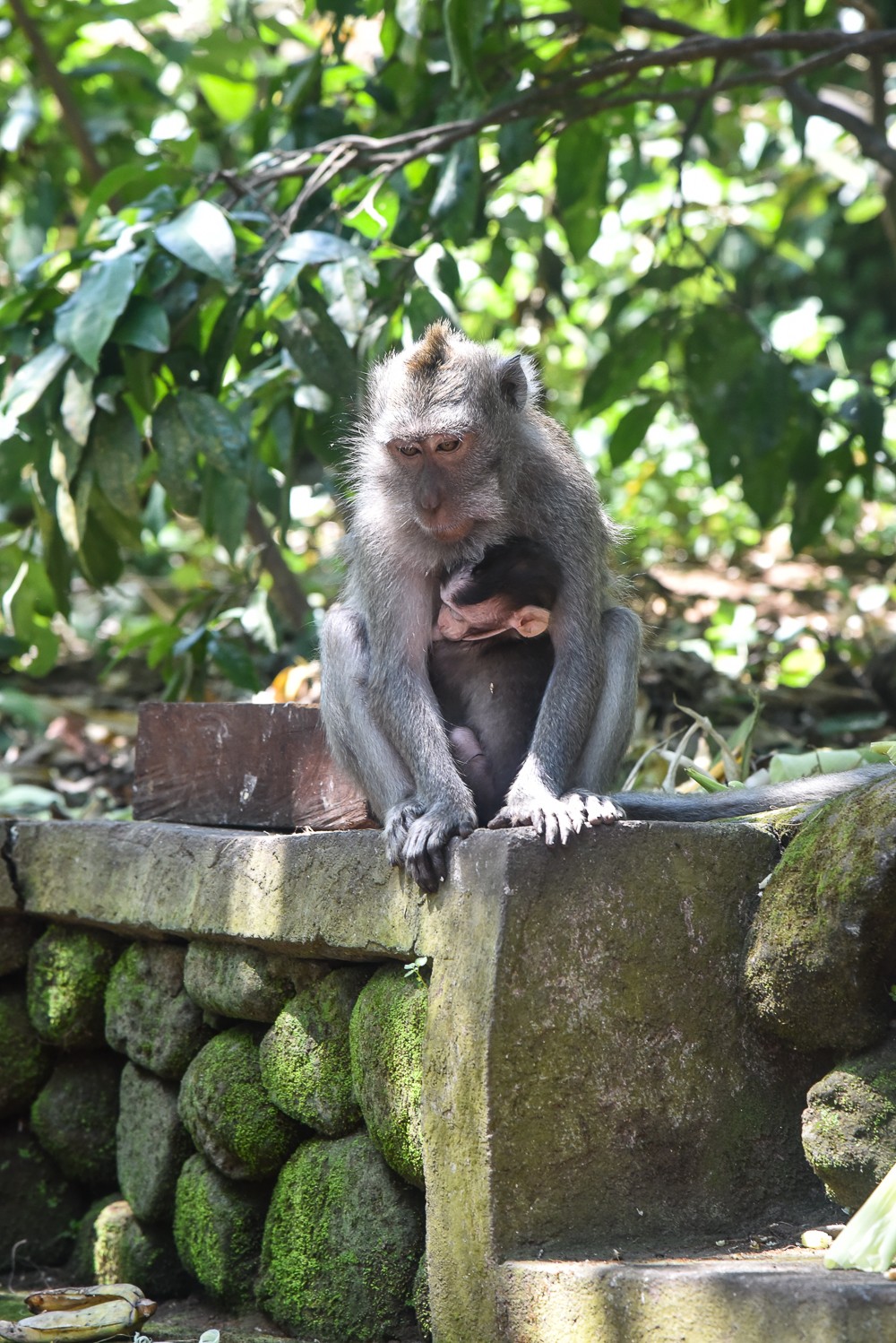things-to-do-in-bali