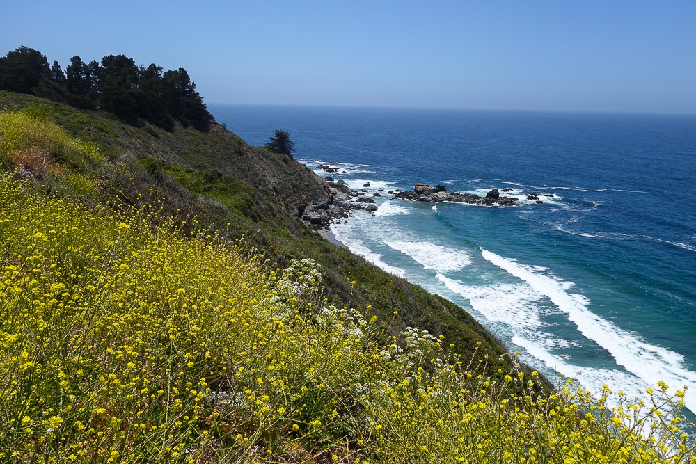 pacific-coast-highway