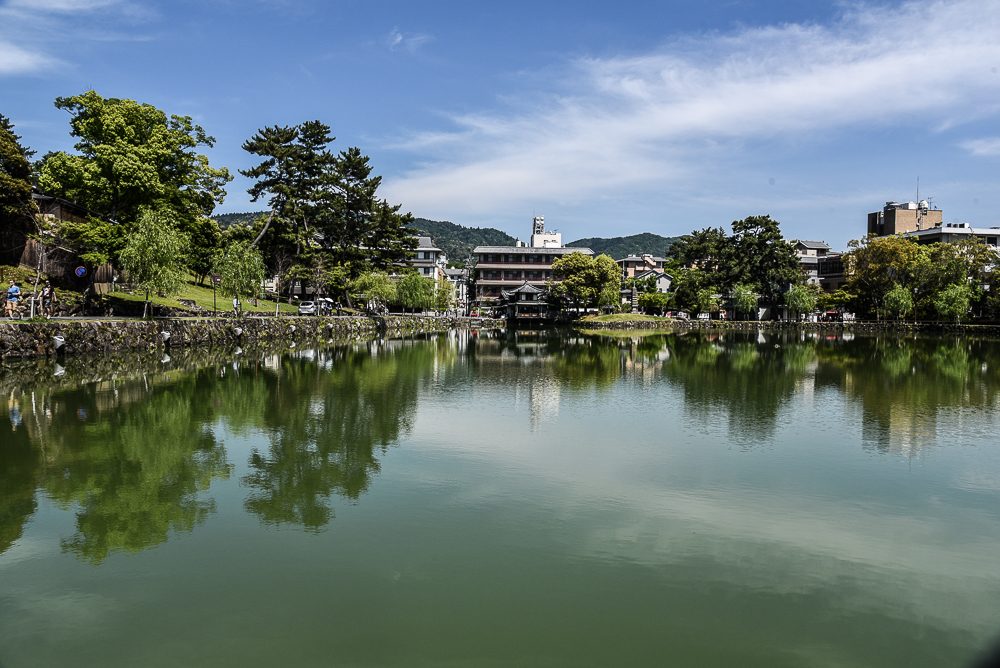 Day Trip to Nara