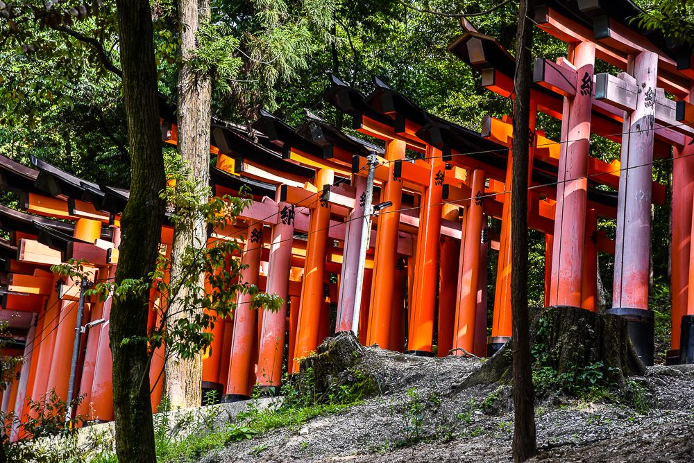 Things to see in Kyoto