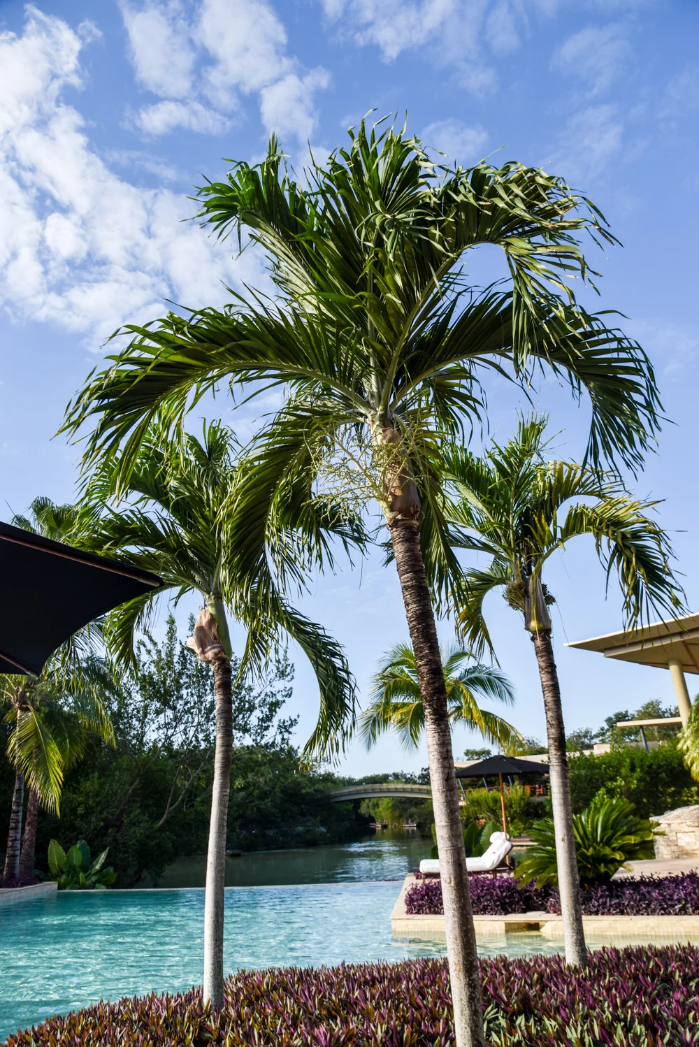 Rosewood Mayakoba