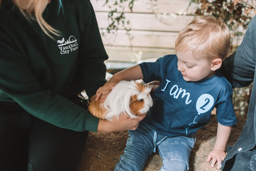 A child petting a guinea pig at Vauxhall City Farm
