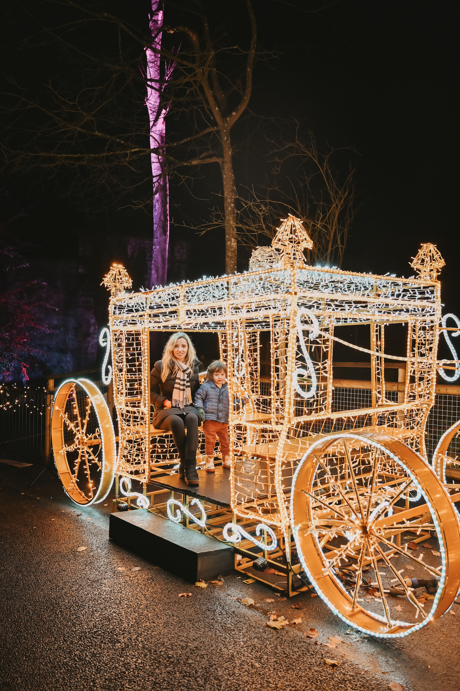 Port Lympne Illuminated