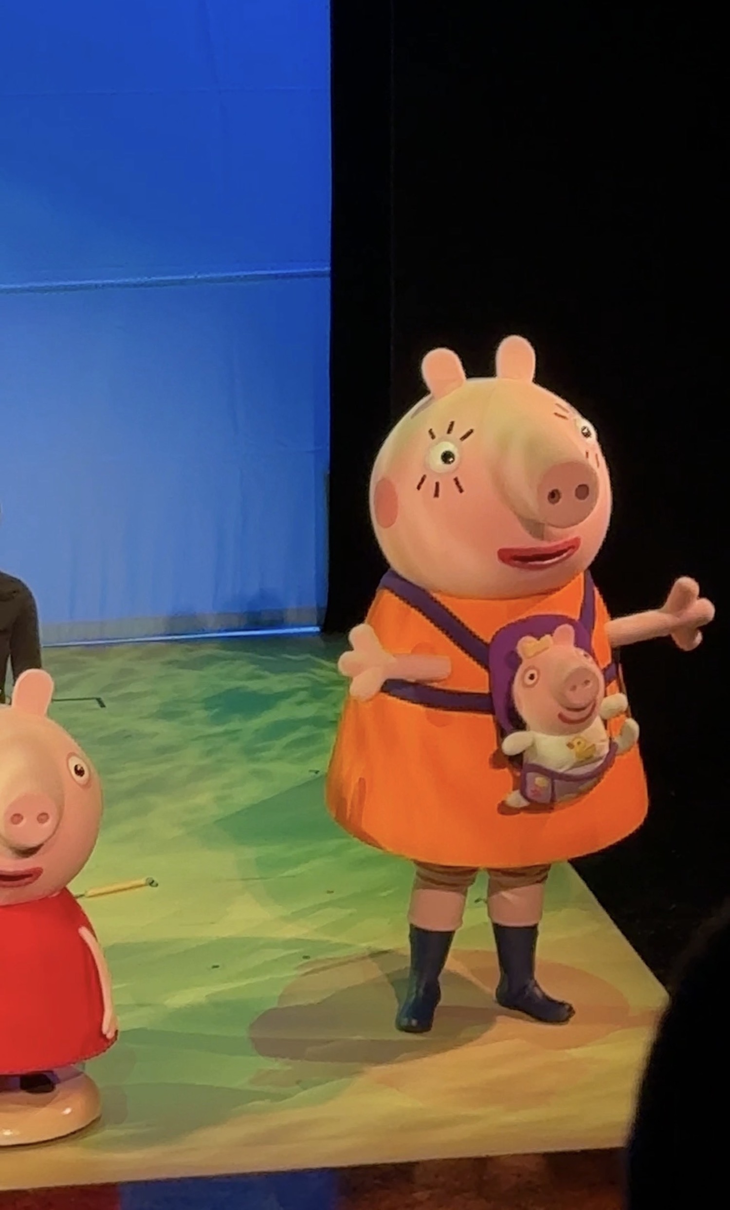 The Peppa Pig Show