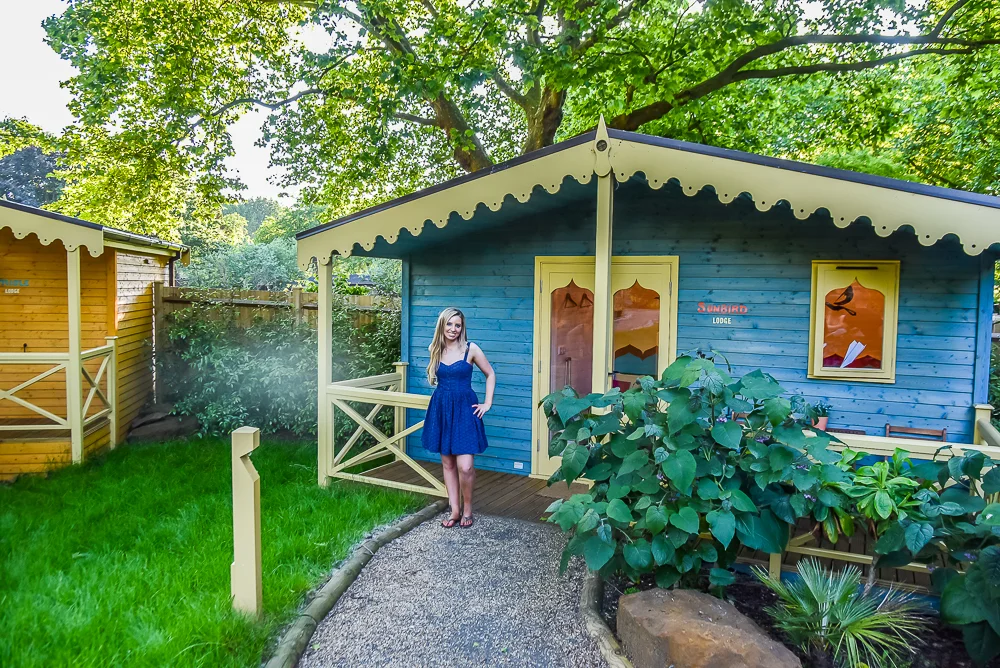 Overnight stay at London Zoo Lodges with exclusive after-hours access to the zoo